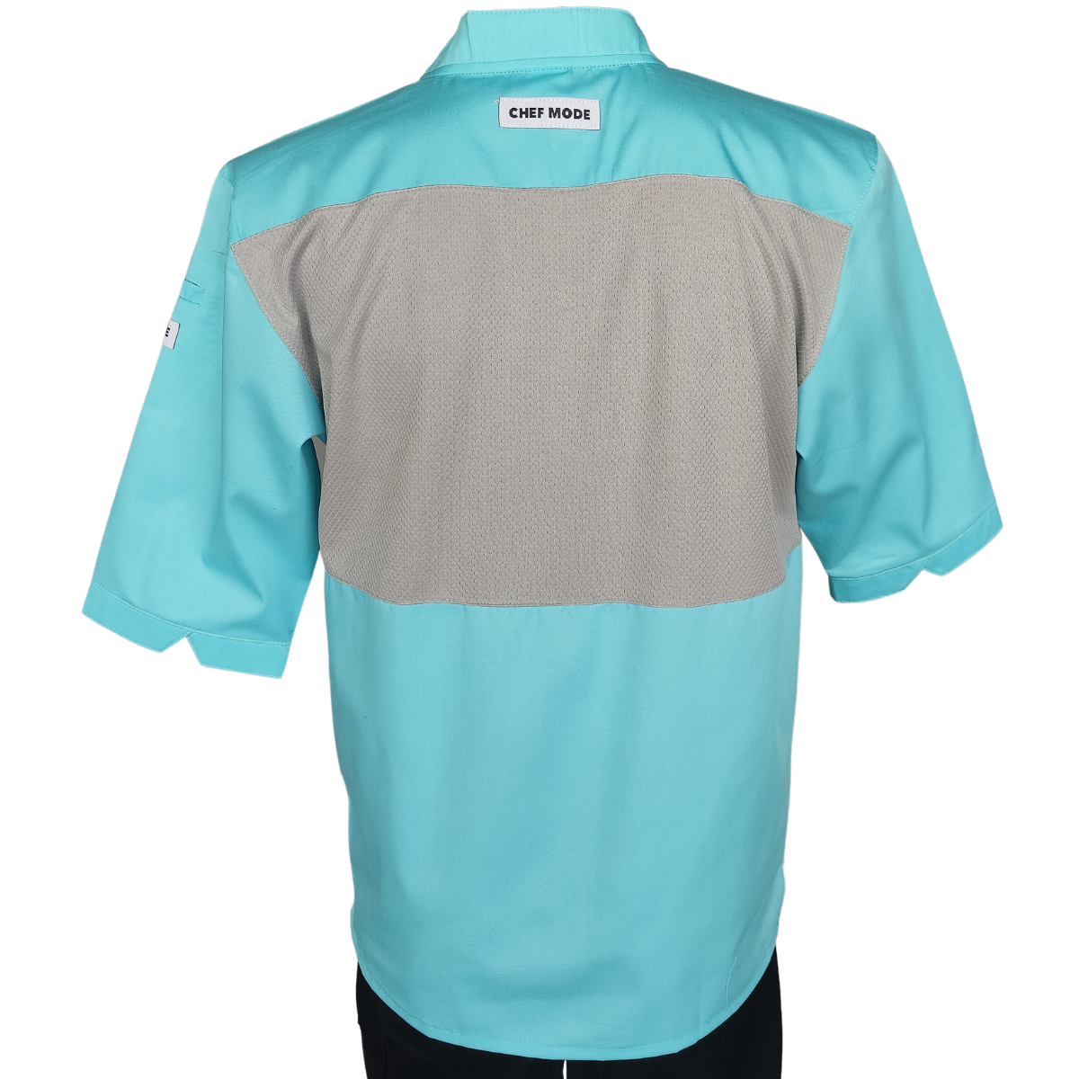 Filipina Profesional CHEF MODE Caballero Azul